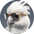 Rafał_PL